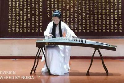 第八屆中國(guó)(國(guó)際)器樂文化藝術(shù)節(jié)南陽站演出活動(dòng)圓滿舉行，助推文化藝術(shù)交流新篇章